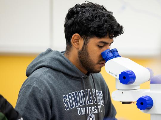 Student wearing Sonoma State sweatshirt looking into binoculars in a lab classroom