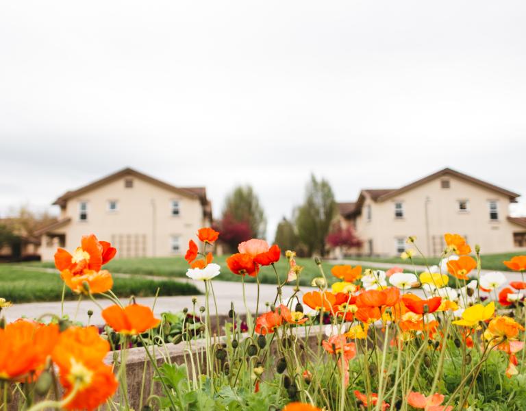 Flowers at Tuscany Village