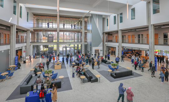 Light fdrom the Stevenson Quad fills the atrium