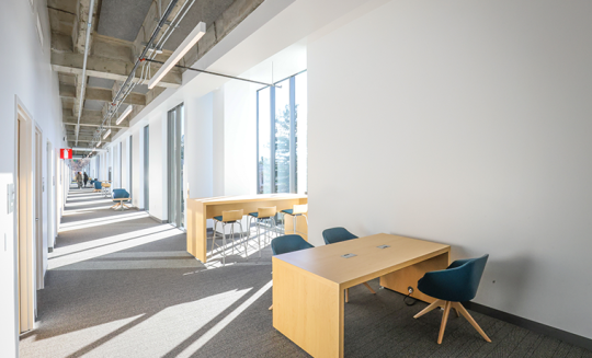 Natural light fills the hallways.