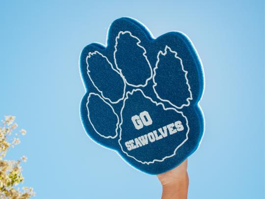 Foam paw